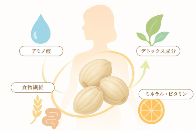 『内側から整える』 ハトムギの科学的根拠 『内側から整える』 ハトムギの科学的根拠