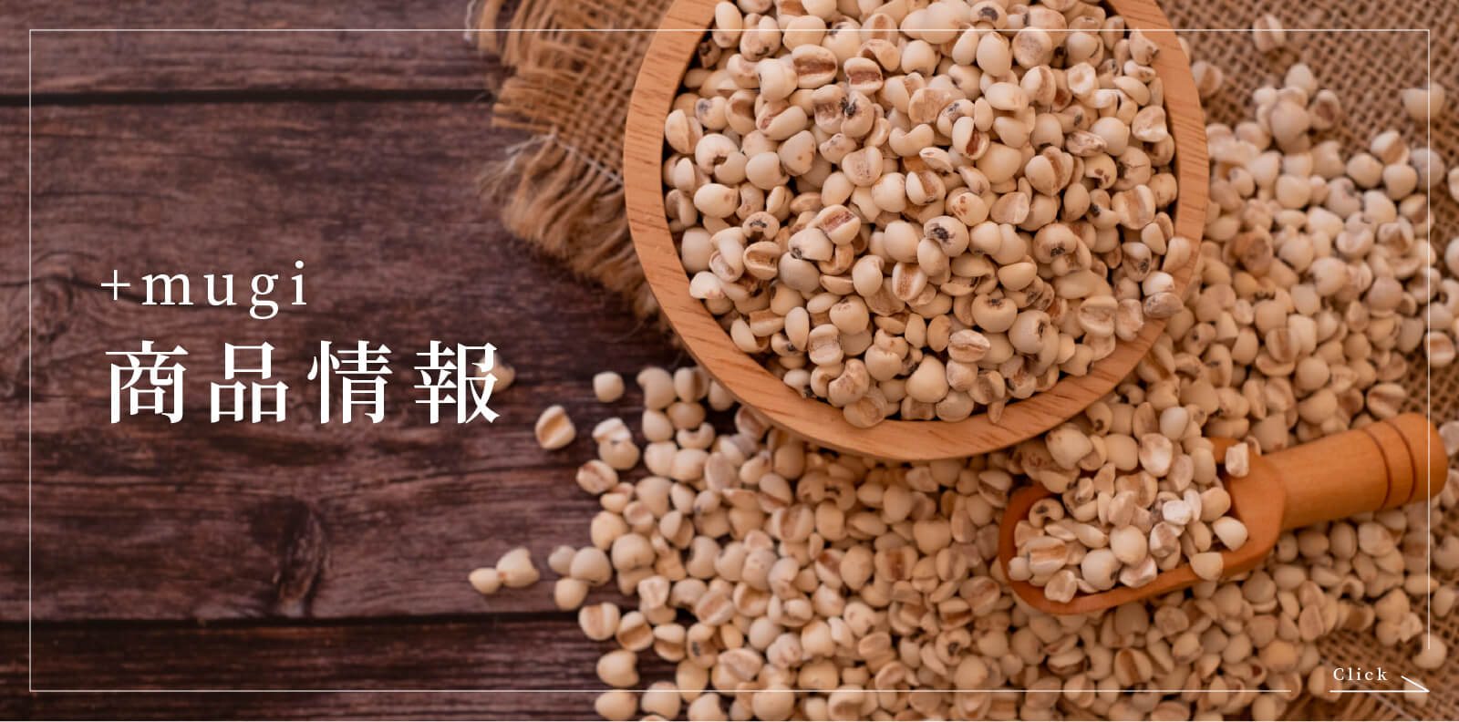 商品紹介